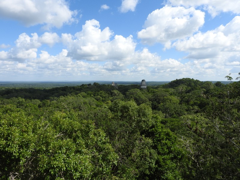 59 Parque Nacional Tikal